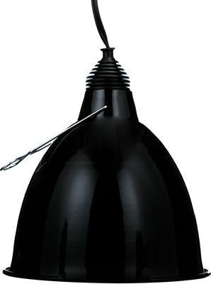 Show full view: Exo Terra Reptile Dome, Large slide 8 of 9