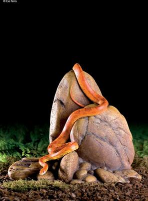 Show full view: Exo Terra Rock Reptile Outcrops, Small slide 3 of 4