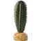 Show in main carousel: Exo Terra Saguaro Cactus Reptile Terrarium Plant slide 1 of 1