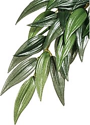 Exo Terra Silk Terrarium Reptile Plant, Ruscus, Medium