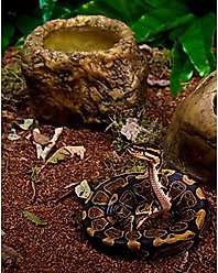 Exo Terra Snake Bowl slide 2 of 2