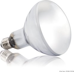 Exo Terra Solar Glo All in One Reptile Bulb, 125-w slide 2 of 4