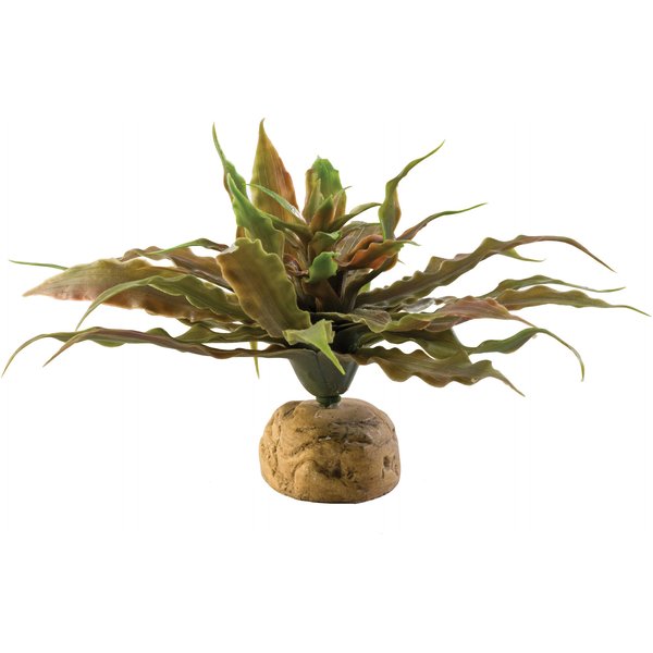 Exo Terra Jade Cactus Reptile Terrarium Plant