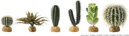 Show full view: Exo Terra Star Cactus Reptile Terrarium Plant slide 2 of 2