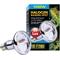 Show in main carousel: Exo Terra Sun Glo Halogen Daylight Reptile Lamp, 100-w bulb slide 1 of 4