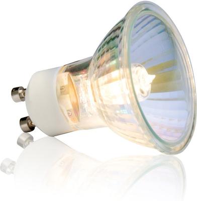 Show full view: Exo Terra Sun Glo Halogen Daylight Reptile Lamp, 35-w bulb slide 2 of 4