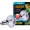 Show in main carousel: Exo Terra Sun Glo Halogen Daylight Reptile Lamp, 75-w bulb, 3 count slide 1 of 3