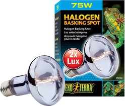 Exo Terra Sun Glo Halogen Daylight Reptile Lamp, 75-w bulb