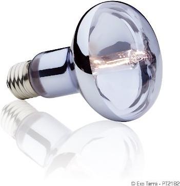 Show full view: Exo Terra Sun Glo Halogen Daylight Reptile Lamp, 75-w bulb slide 3 of 4