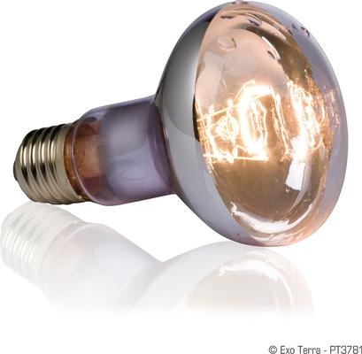 Show full view: Exo Terra Swamp Basking Splash Proof Reptile Spot Lamp, 100-w bulb slide 2 of 5