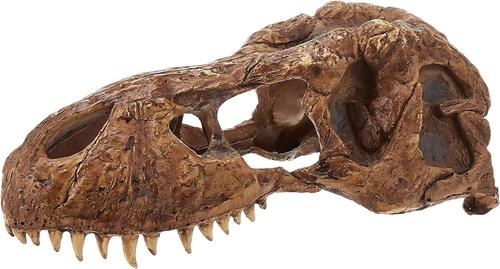 Show full view: Exo Terra T-Rex Skull Reptile Terrarium Décor slide 4 of 8