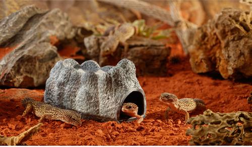 Show full view: Exo Terra Wet Rock Cavereptile Hideout, Large slide 2 of 4