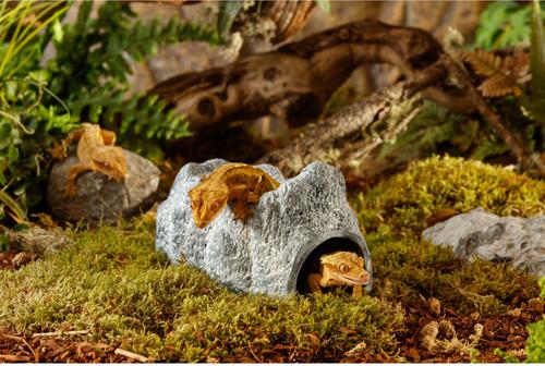 Show full view: Exo Terra Wet Rock Cavereptile Hideout, Large slide 3 of 4