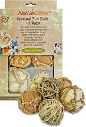 Exotic Nutrition 6 Balls Value Pack Small Pet Chew Toy