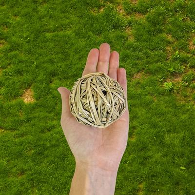 Show full view: Exotic Nutrition 6 Balls Value Pack Small Pet Chew Toy slide 3 of 4