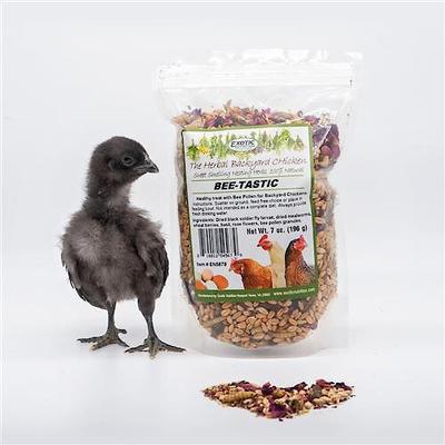 Show full view: Exotic Nutrition Bee-Tastic Bird Supplement, 7-oz bag slide 4 of 4