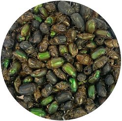 Exotic Nutrition Beetle Craze Bird Treats, 2-lbs bag slide 2 of 7