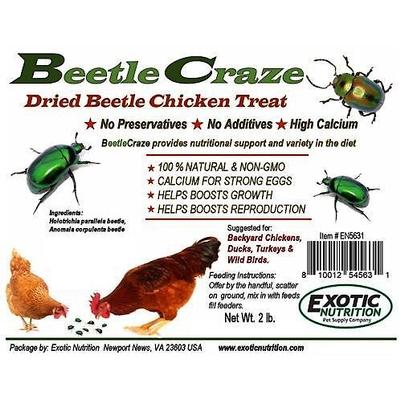 Show full view: Exotic Nutrition Beetle Craze Bird Treats, 2-lbs bag slide 4 of 7