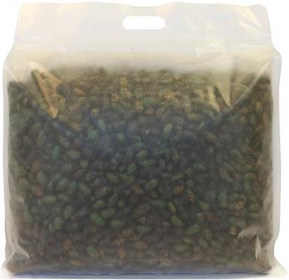 Show full view: Exotic Nutrition Beetle Craze Bird Treats, 2-lbs bag slide 5 of 7