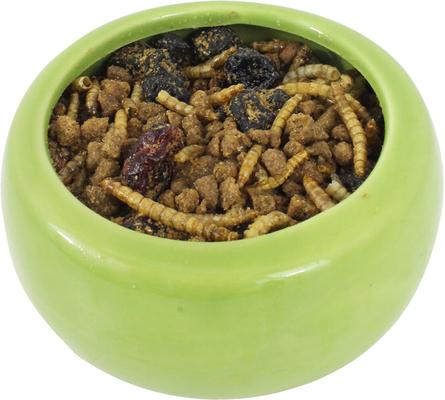 Show full view: Exotic Nutrition Berries & Bugs Sugar Glider & Hedgehog Food, 1.5-lb bag slide 3 of 7