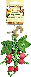 Exotic Nutrition Berry Nibbler Small Pet Chew Toy