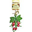 Show in main carousel: Exotic Nutrition Berry Nibbler Small Pet Chew Toy slide 1 of 3