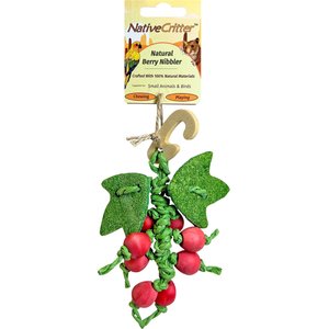 Exotic Nutrition Berry Nibbler Small Pet Chew Toy