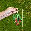 Show in main carousel: Exotic Nutrition Berry Nibbler Small Pet Chew Toy slide 2 of 3
