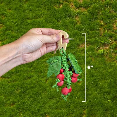 Show full view: Exotic Nutrition Berry Nibbler Small Pet Chew Toy slide 2 of 4