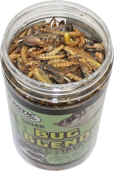 Exotic Nutrition Bug Blend Small Animal Treats, 1.71-oz jar