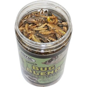 Exotic Nutrition Bug Blend Small Animal Treats, 1.71-oz jar