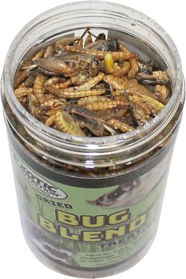 Show full view: Exotic Nutrition Bug Blend Small Animal Treats, 1.71-oz jar slide 4 of 4