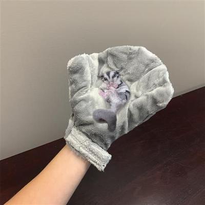 Show full view: Exotic Nutrition Calming Small Pet Glove, Gray slide 3 of 6