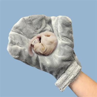 Show full view: Exotic Nutrition Calming Small Pet Glove, Gray slide 4 of 6