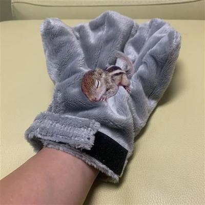 Show full view: Exotic Nutrition Calming Small Pet Glove, Gray slide 5 of 6