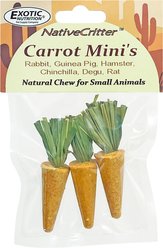 Exotic Nutrition Carrot Minis Small Pet Chew Toy