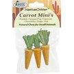 Show in main carousel: Exotic Nutrition Carrot Minis Small Pet Chew Toy slide 1 of 7