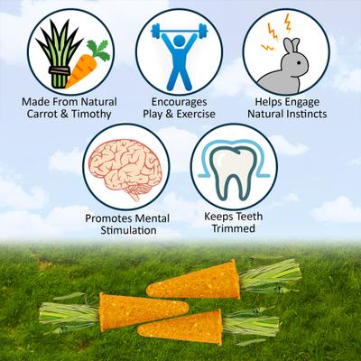 Show full view: Exotic Nutrition Carrot Minis Small Pet Chew Toy slide 7 of 7