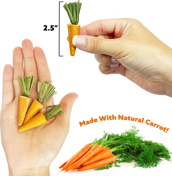 Show full view: Exotic Nutrition Carrot Minis Small Pet Chew Toy slide 5 of 7