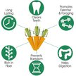 Show in main carousel: Exotic Nutrition Carrot Minis Small Pet Chew Toy slide 6 of 7