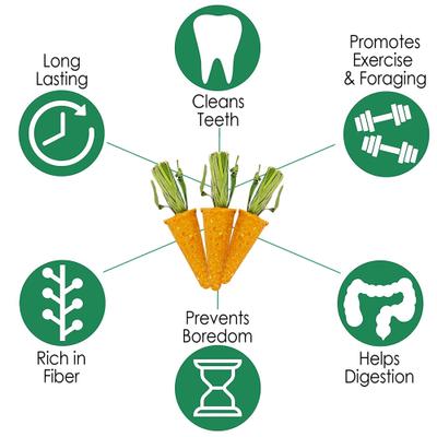 Show full view: Exotic Nutrition Carrot Minis Small Pet Chew Toy slide 6 of 7