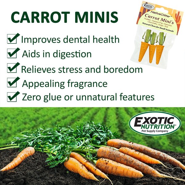 Show full view: Exotic Nutrition Carrot Minis Small Pet Chew Toy slide 4 of 7