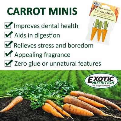 Show full view: Exotic Nutrition Carrot Minis Small Pet Chew Toy slide 4 of 7