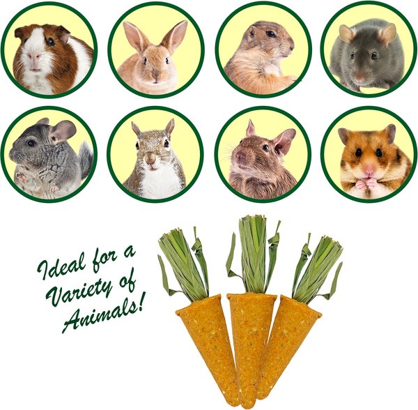 Show full view: Exotic Nutrition Carrot Minis Small Pet Chew Toy slide 3 of 7