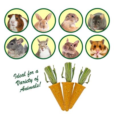 Show full view: Exotic Nutrition Carrot Minis Small Pet Chew Toy slide 3 of 7