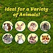 Show in main carousel: Exotic Nutrition Celebration Cupcake Small Pet Chew Toy slide 3 of 4