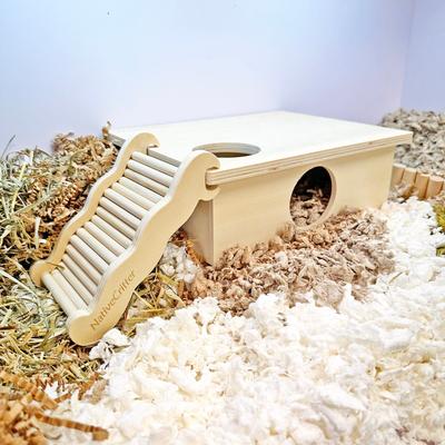 Show full view: Exotic Nutrition Chamber Box Small Pet Toy, Large slide 8 of 8