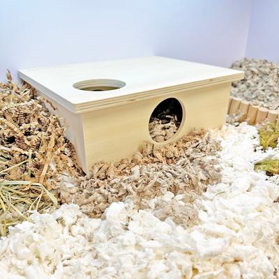 Show full view: Exotic Nutrition Chamber Box Small Pet Toy, Small slide 3 of 8