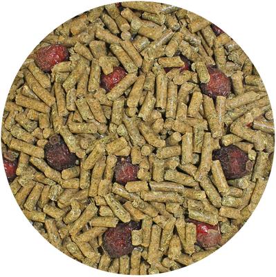 Show full view: Exotic Nutrition Chinchilla Diet with Rose Hips Small-Pet Food, 2-lb bag slide 3 of 5