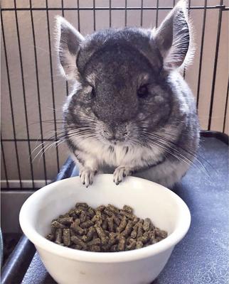 Show full view: Exotic Nutrition Chinchilla Diet with Rose Hips Small-Pet Food, 2-lb bag slide 5 of 5